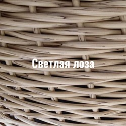 Светлая лоза