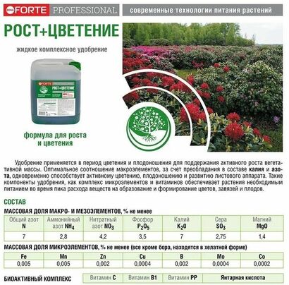 Bona Forte Professional Жидкое удобрение РОСТ И ЦВЕТЕНИЕ (фаза 2,5), канистра 5 л/2