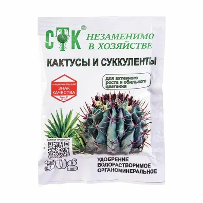 Кактусы и Суккуленты